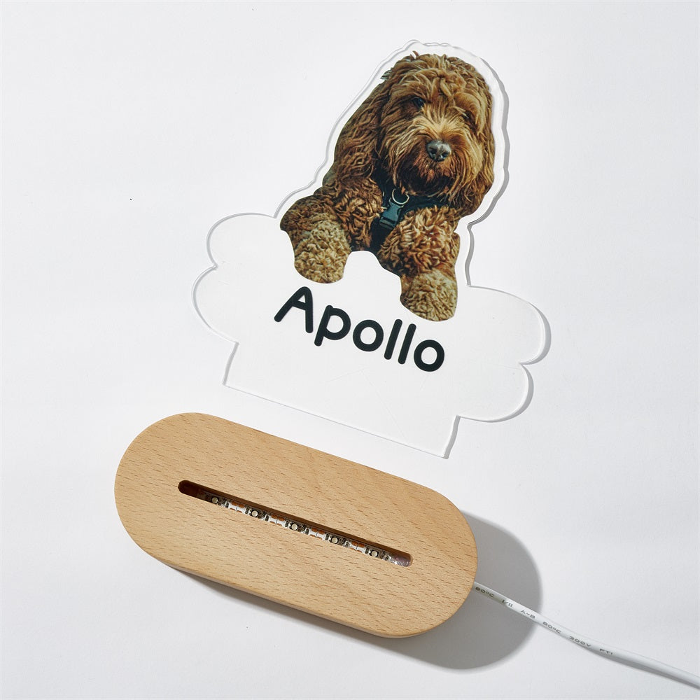 Lámpara Personalizada con Foto y Nombre de Mascota