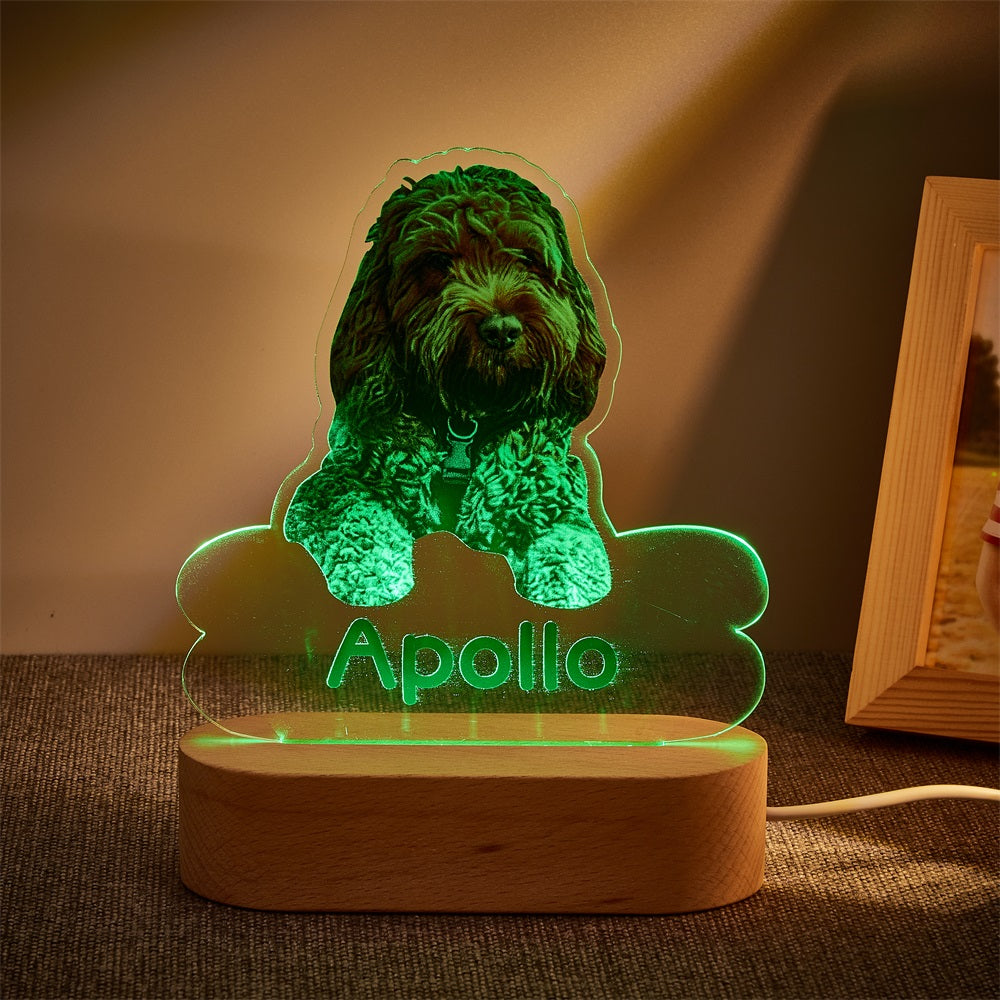 Lámpara Personalizada con Foto y Nombre de Mascota