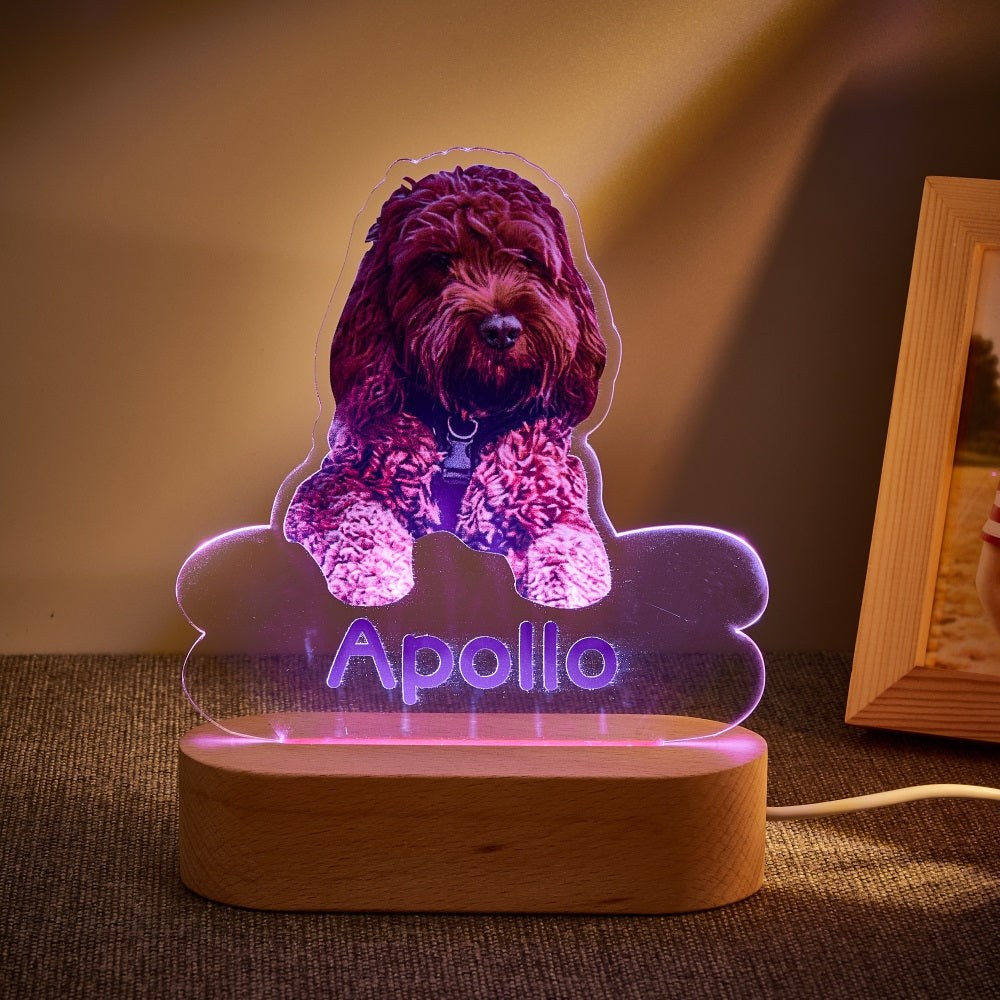 Lámpara Personalizada con Foto y Nombre de Mascota