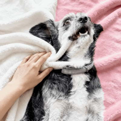 Frazada Personalizable con Foto