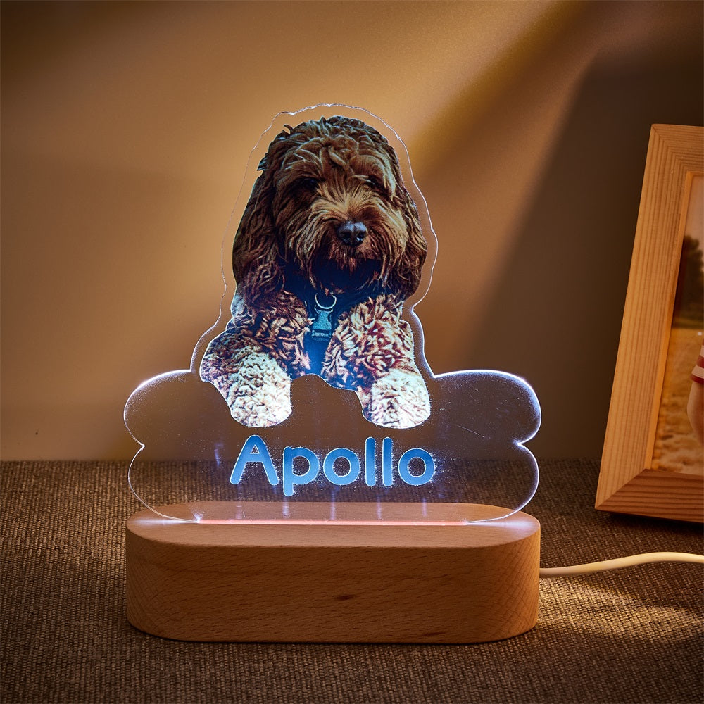 Lámpara Personalizada con Foto y Nombre de Mascota
