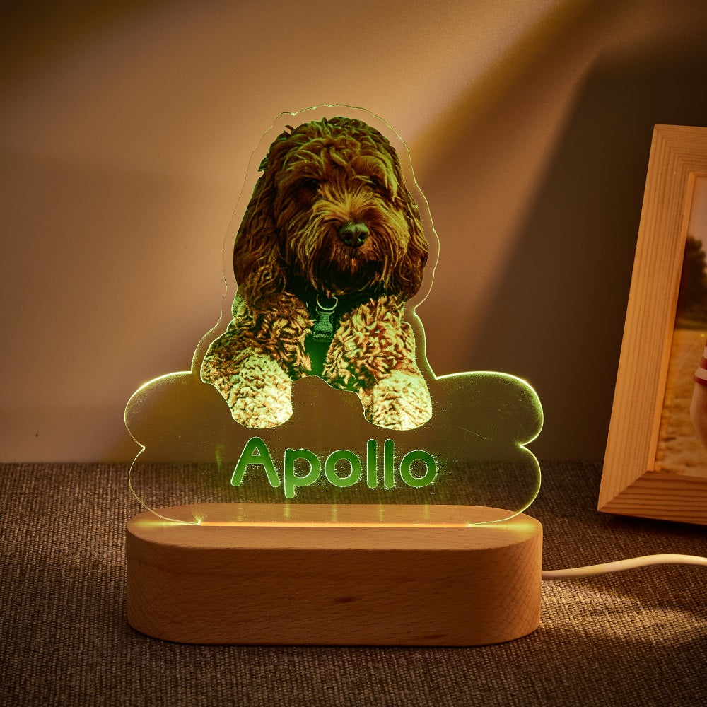 Lámpara Personalizada con Foto y Nombre de Mascota