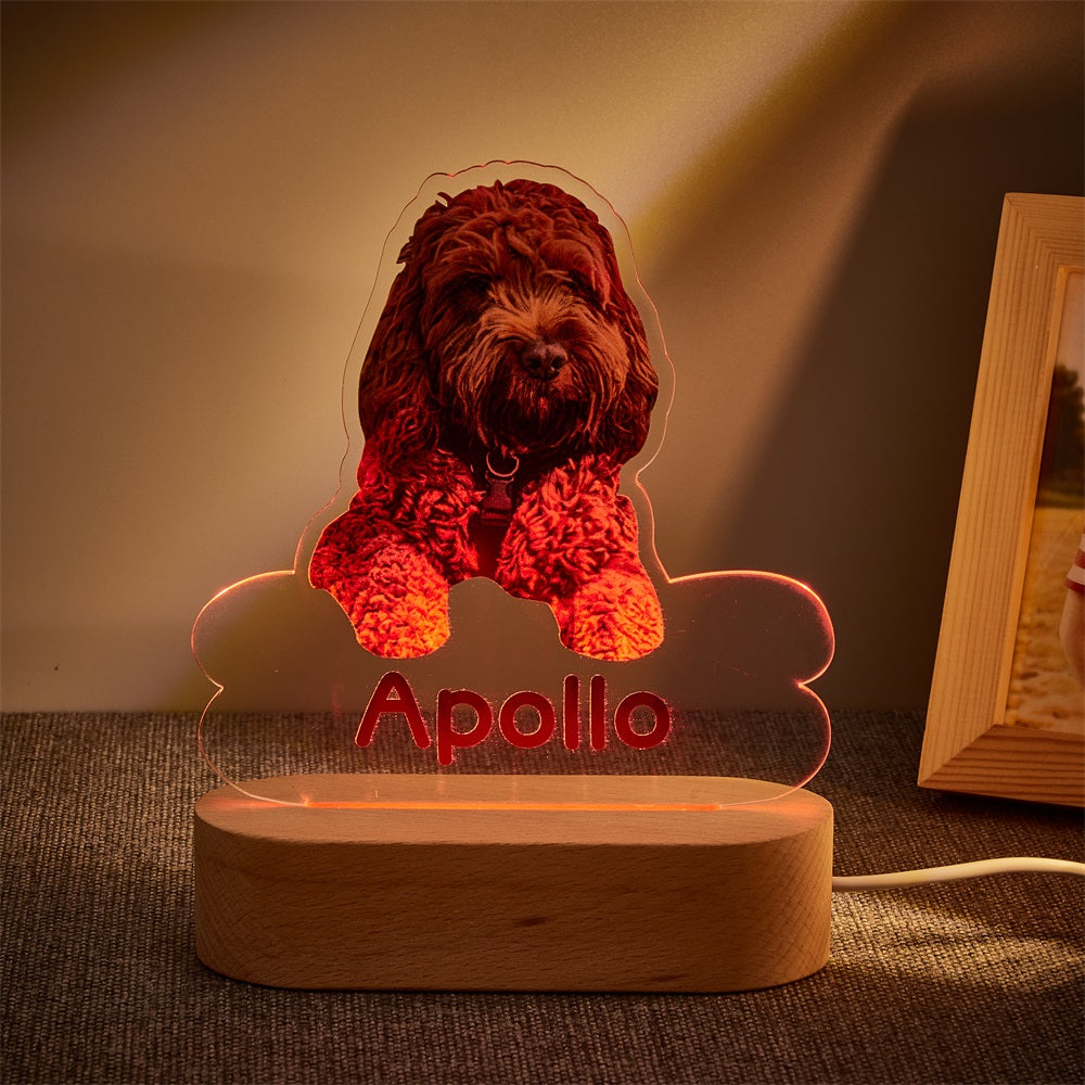 Lámpara Personalizada con Foto y Nombre de Mascota