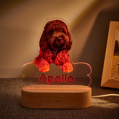Lámpara Personalizada con Foto y Nombre de Mascota