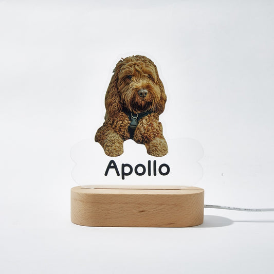 Lámpara Personalizada con Foto y Nombre de Mascota