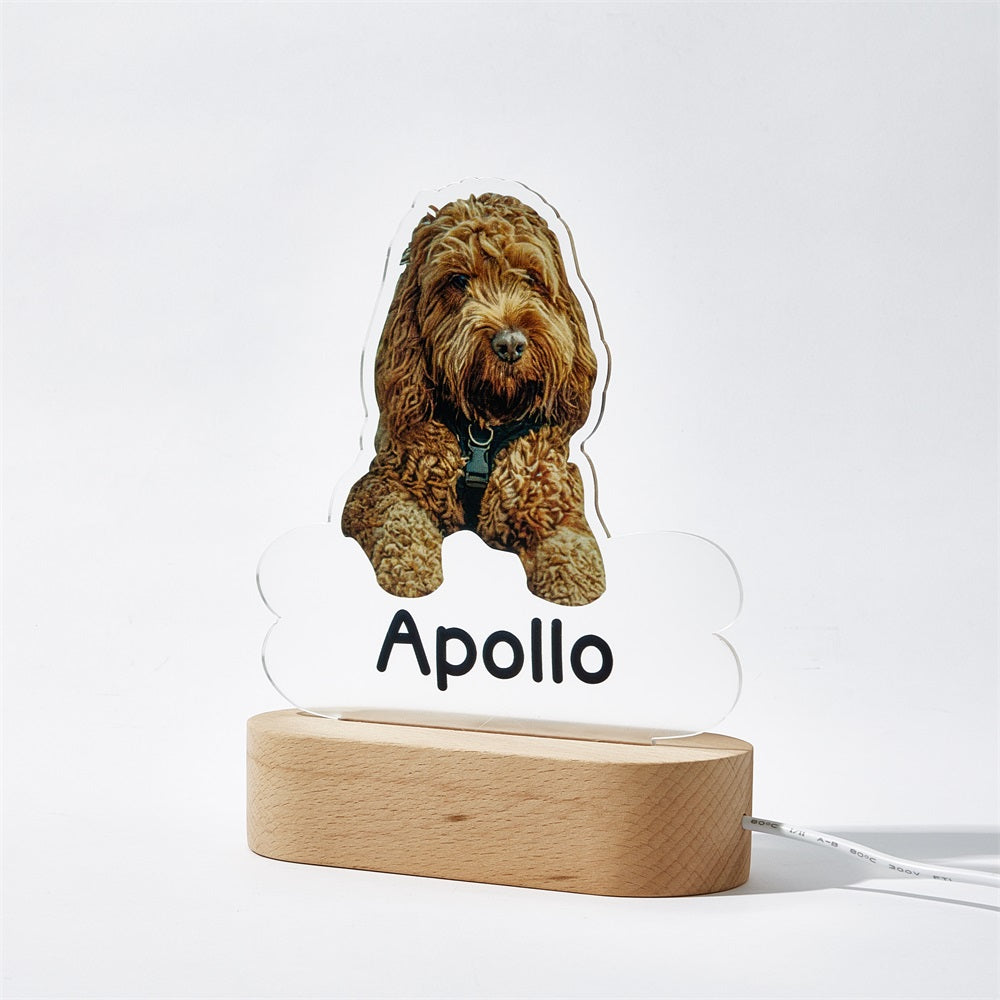 Lámpara Personalizada con Foto y Nombre de Mascota
