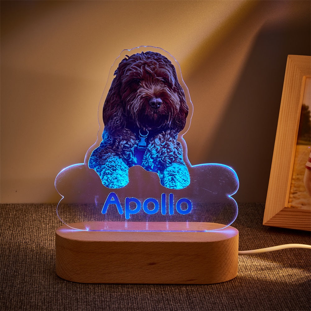 Lámpara Personalizada con Foto y Nombre de Mascota