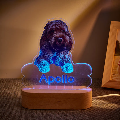 Lámpara Personalizada con Foto y Nombre de Mascota