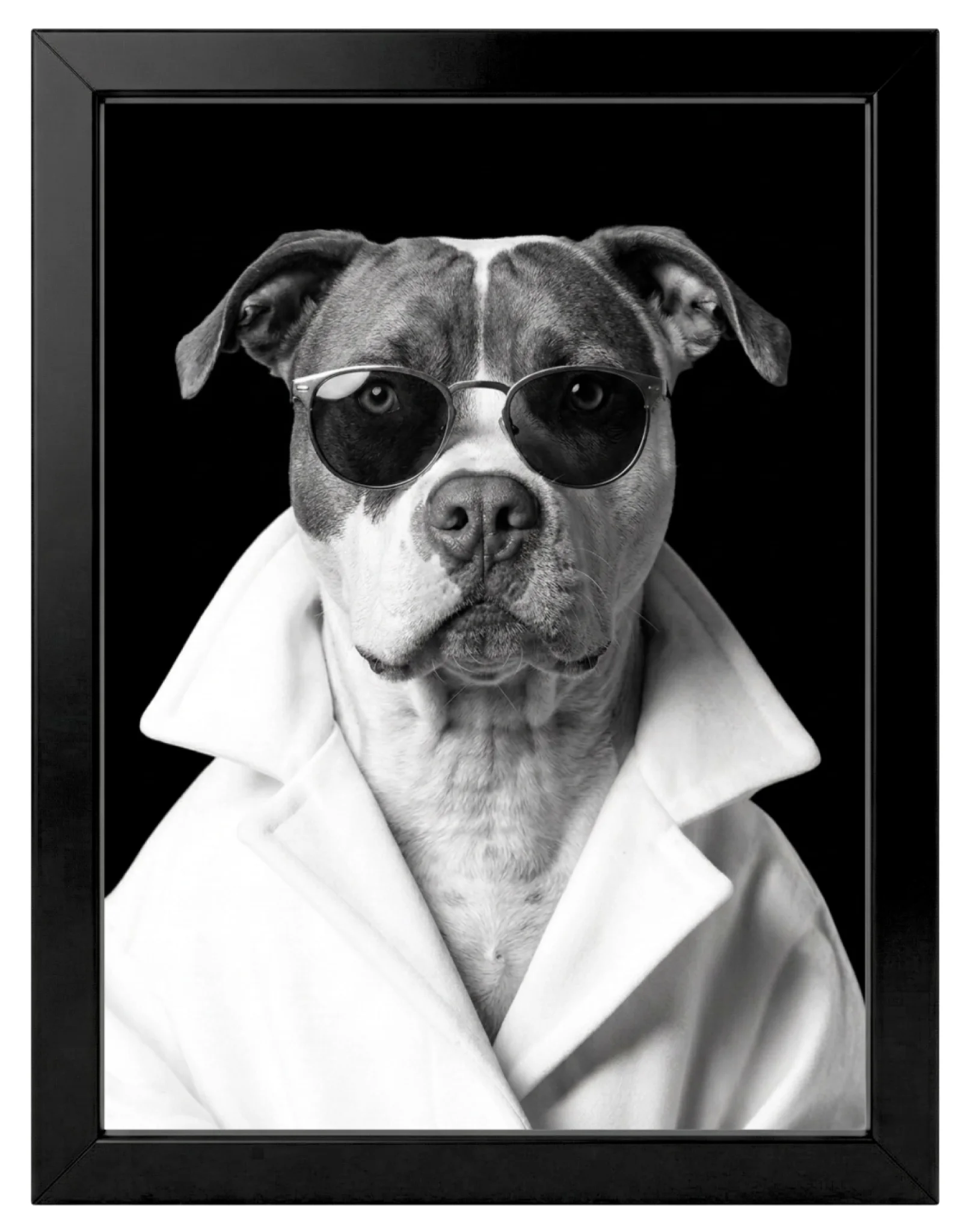 Retrato_de_mascota_Personalizado_estilo_Modelo_de_Revista (1)