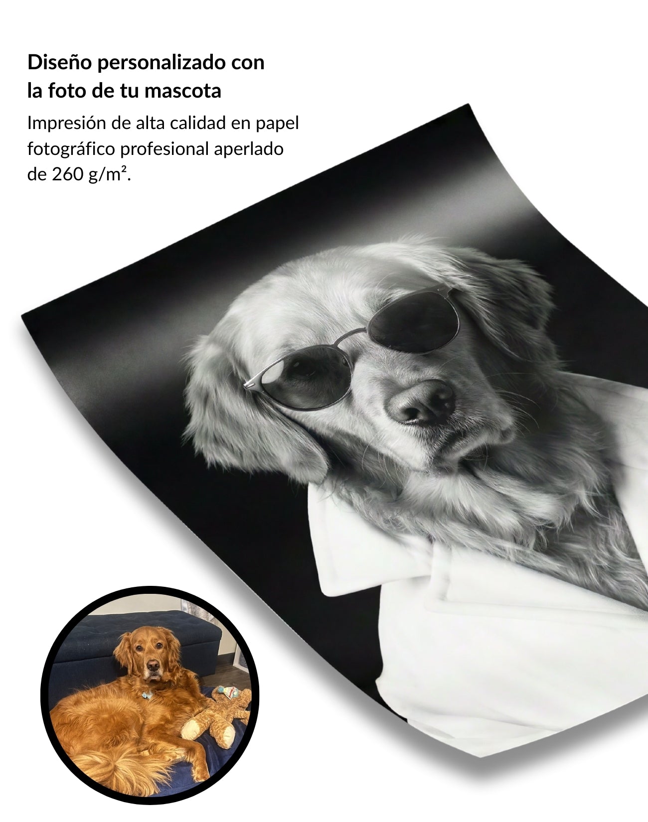 Retrato de Mascota Personalizado Estilo Chic con Gafas Enmarcado