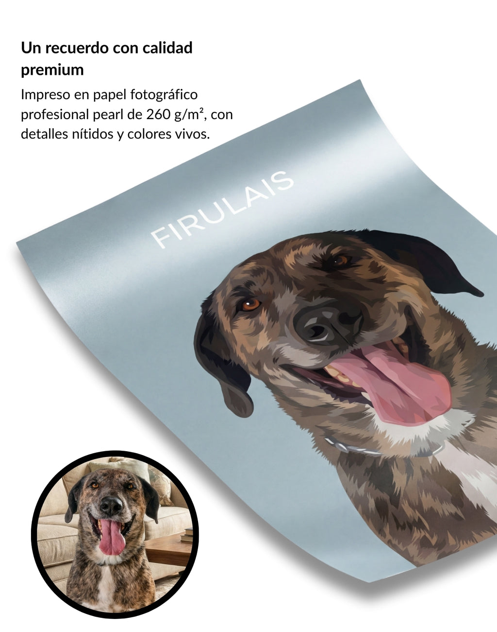Retrato Personalizado de Mascota Ilustrado a Mano Enmarcado