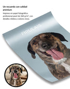 Retrato Personalizado de Mascota Ilustrado a Mano Enmarcado