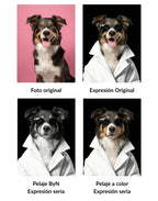 Retrato de Mascota Personalizado Estilo Chic con Gafas Enmarcado
