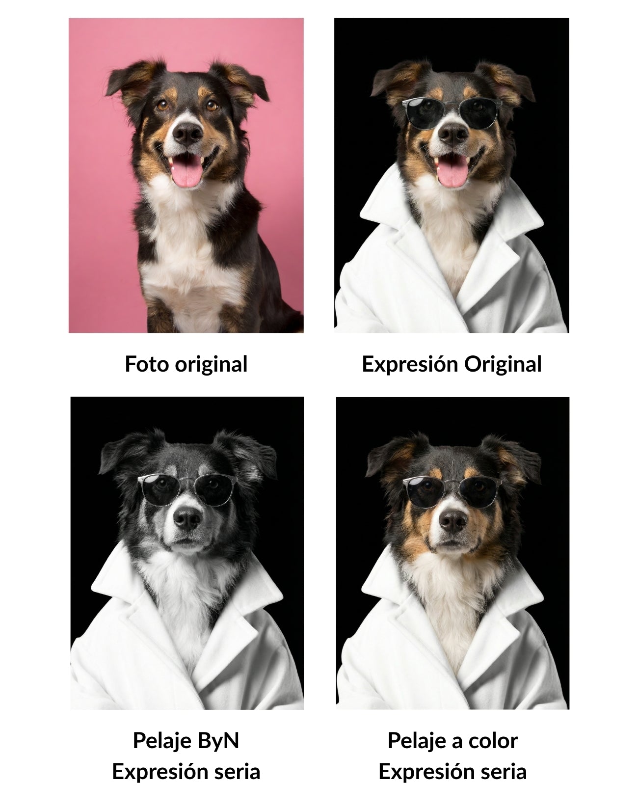 Retrato de Mascota Personalizado Estilo Chic con Gafas Enmarcado