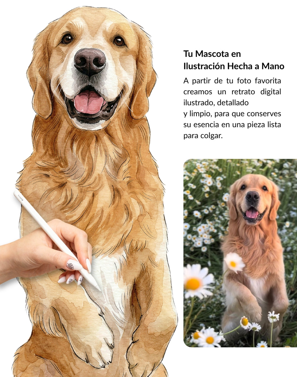 Retrato Personalizado de Mascota en Estilo Acuarela con Marco