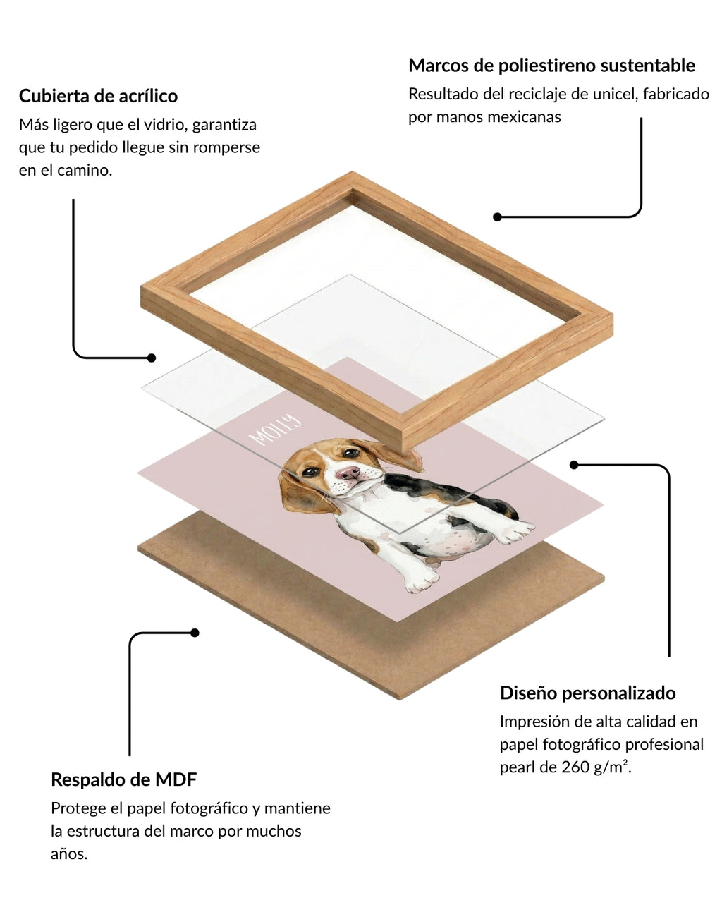 Retrato Personalizado de Mascota en Estilo Acuarela con Marco