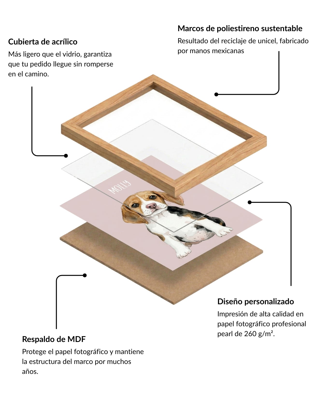 Retrato Personalizado de Mascota en Estilo Acuarela con Marco