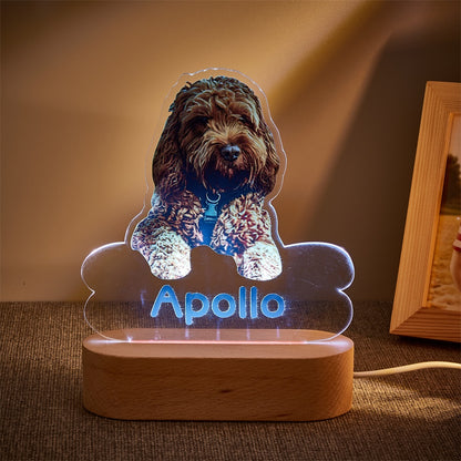 Lámpara Personalizada con Foto y Nombre de Mascota