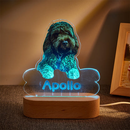 Lámpara Personalizada con Foto y Nombre de Mascota